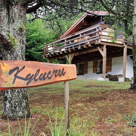 Villa Chalet Kylucru 6 Personnes Classe 2 Etoiles Xonrupt-Longemer Exterior foto