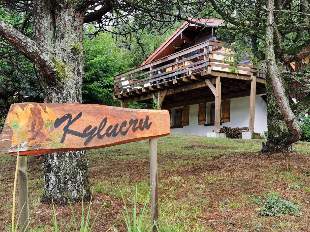 Villa Chalet Kylucru 6 Personnes Classe 2 Etoiles Xonrupt-Longemer Exterior foto